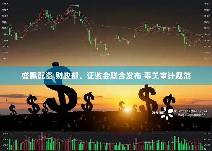 盛鹏配资 财政部、证监会联合发布 事关审计规范