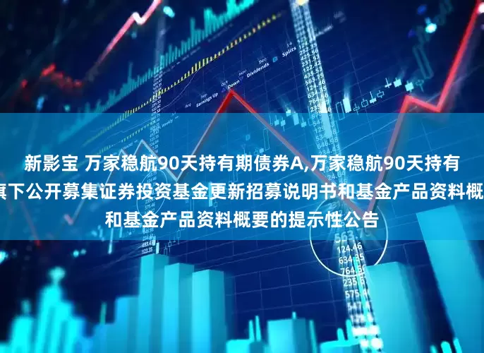 新影宝 万家稳航90天持有期债券A,万家稳航90天持有期债券C: 关于旗下公开募集证券投资基金更新招募说明书和基金产品资料概要的提示性公告