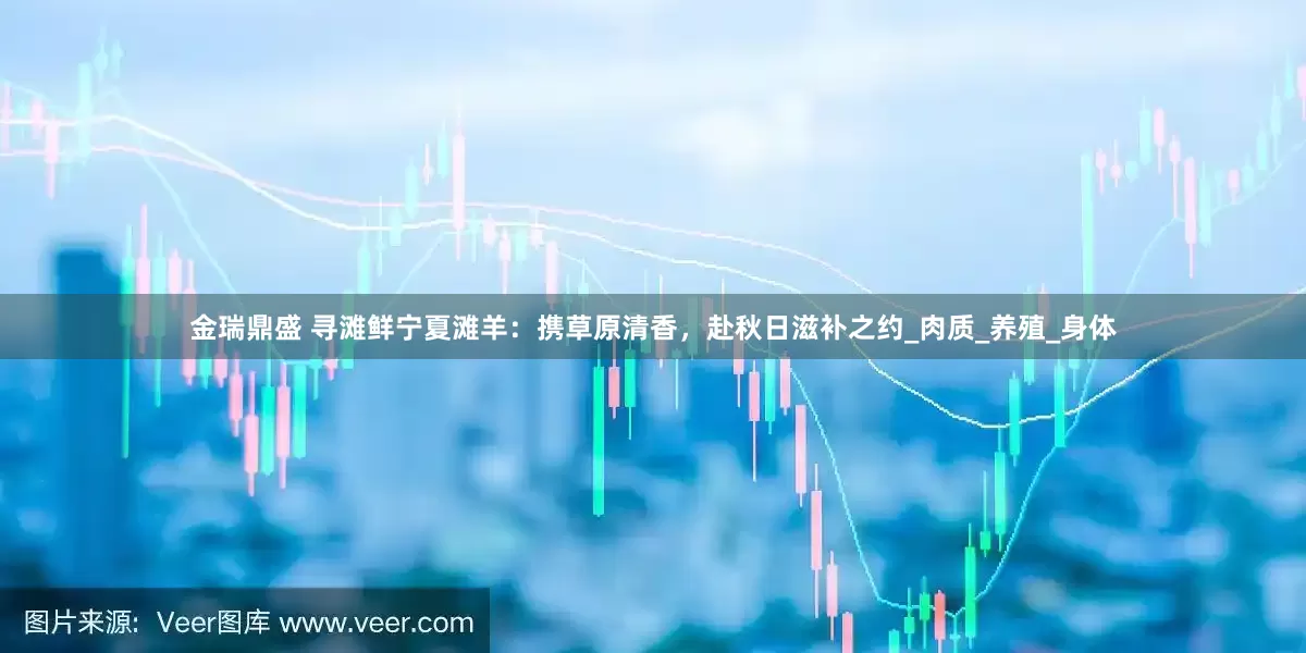 金瑞鼎盛 寻滩鲜宁夏滩羊：携草原清香，赴秋日滋补之约_肉质_养殖_身体