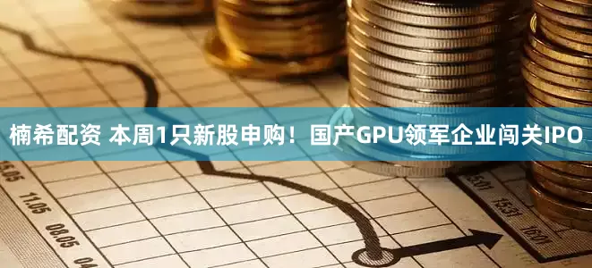楠希配资 本周1只新股申购！国产GPU领军企业闯关IPO